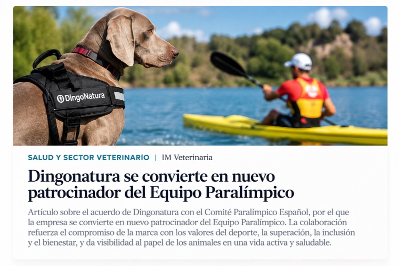 dingonatura dingonatura